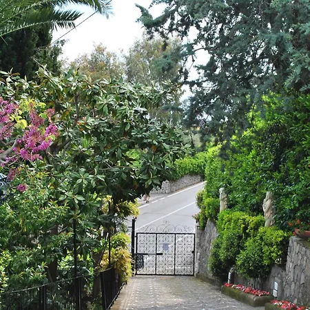 Bianca * Sorrento